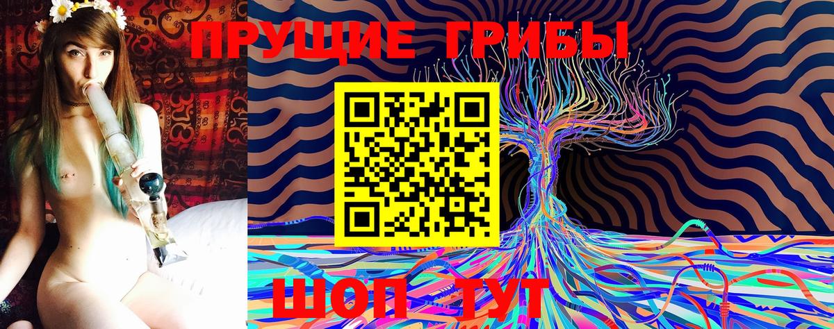 Псилоцибиновые грибы GOLDEN TEACHER  Вход с VPN  Мирный 