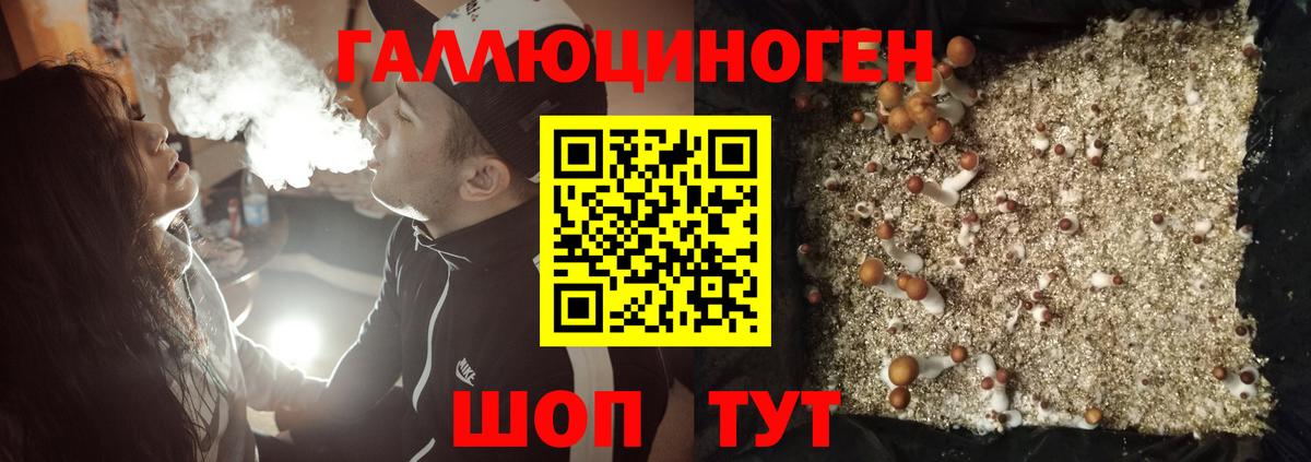 Галлюциногенные грибы Cubensis Мирный
